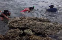 Half Island West side history/ snorkel tour