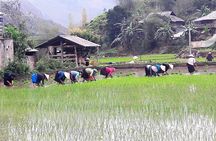 Ha Giang 4 Days 3 Nights Motorbike Tour: Culture & Scenic Loop