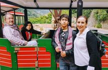 Private Half-Day Tour to Jeita Grotto and Harissa from Beirut