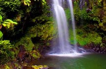 Highlights of the Northern Madagascar - Private Multi Day Tour