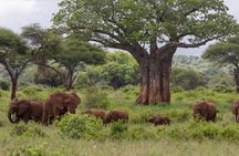 3-day Tanzania safari - Tarangire and Ngorongoro Crater