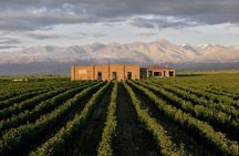 Private Tour + Uco Valley Vinicolas