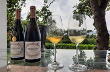 Full-Day Private Guided Wine Tasting Tour of Cape Wineries