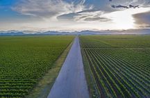 Montenegro Wine Road Tour