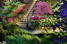 Aswan: Private Nile Boat Cruise and Botanical Garden Visit – 1 Day