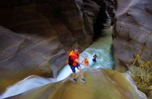 Wadi Al Mujib Adventures From Amman, QAI Airport, Deadsea or Madaba