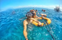 Day Trip Ayangue Beach & Snorkeling Activity in Pelado's Islote