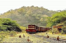 8 Nights/9 Days Majestic Rajasthan Tour Package