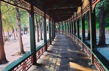 Private Shore Excursions of Summer Palace and Temple of Heaven 