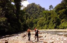 Monkey Business 3 days - 2 nights Jungle trekking (including rafting) 