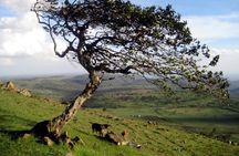 Ngong Hills: Hike & Zipline Adventure Day Tour
