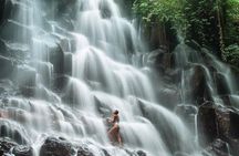  Blue Lagoon Snorkeling - Scenic Ubud Waterfalls - All Included + FREE Wi-Fi