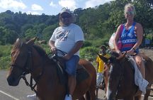 Horseback Riding, ATV & Blue Hole (Land & Sea) from Falmouth