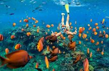 Blue Lagoon Snorkeling - Jungle Swing - Ubud - All Inclusive