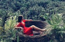 Blue Lagoon Snorkeling - Jungle Swing - Ubud - All Inclusive