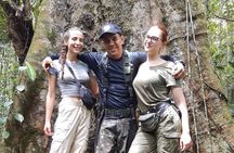 FULL DAY TOUR - Jaguar Jungle Survival - Amazon Rainforest - From Manaus
