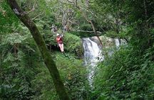 Ultimate Shore Excursion: Zipline Over 11 Waterfalls (Caldera)