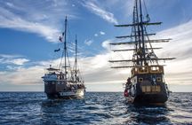 Yo Ho Pirate Sunset Dinner Cruise in Cabo San Lucas