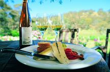 2-Night Self-Guided Clare Valley Vineyards Trail Bike Tour from Auburn