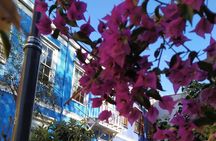 A full Private Tour of Valparaiso from Santiago 