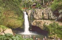 Ubud Combine Mount Batur Kintamani Tour
