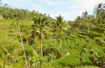 Ubud Combine Mount Batur Kintamani Tour