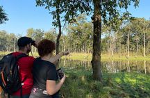 1 Night 2 Days Chitwan Jungle Safari Tour from Kathmandu