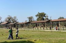 2 Nights 3 Days Chitwan Wildlife Jungle Safari Package Tour