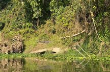 2 Nights 3 Days Chitwan Wildlife Jungle Safari Package Tour