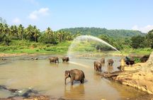 12 Day Explore Sri Lanka