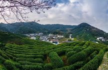 Private Day Trip to Hangzhou from Shanghai by Bullet Train