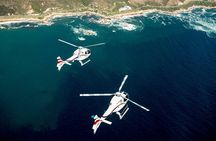 Cape Town Helicopter Tour: Atlantic Coast