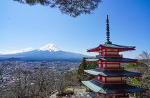Mt. Fuji Private Chartered Tour with Nature & Wasabi Farm
