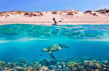 Special Snorkeling Day Trip to the Red Sea in Safaga from Luxor