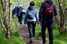 Arctic Coastal Walk