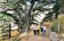 Small-Group Tour with Lunch to Qadisha Valley, Bcharre and Cedars
