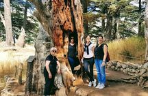 Small-Group Tour with Lunch to Qadisha Valley, Bcharre and Cedars