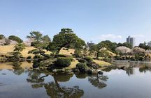 Kumamoto Full-Day Private Tour with Government-Licensed Guide