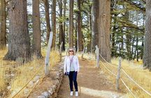 Full-Day Private Tour to Qadisha Valley, Cedars and Baalbek
