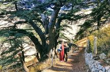Full-Day Private Tour to Qadisha Valley, Cedars and Baalbek