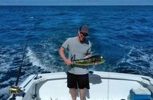 Offshore Fishing - Half Day (Trolling)