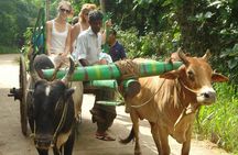 3 Days Glimpse of Sri Lanka