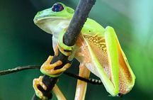Manuel Antonio National Park Hiking Guided Tour