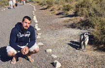 Punta Tombo Tour, the Penguin Experience