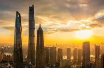 Private Tour with Shanghai Tower, Shanghai Zoo and Nanjing Road plus Xiaolongbao