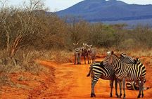 2 Days (1 night) Red Elephant Special