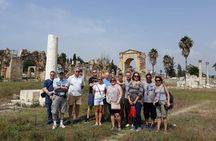Beirut to Sidon, Tyre and Maghdouché: Daily Tours with Lunch
