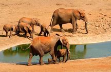 2 Days (1 night); Tsavo East & Saltlick Safari: 