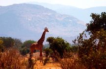 3 Days (2 nights); Tsavo East & West Safari: