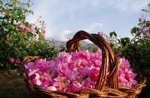 Roses Valley and Mgoun Trekking